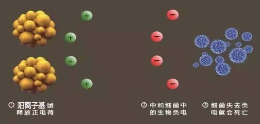 正离子杀菌.jpg